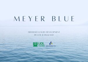 meyer-blue-preliminary-brochure-cover